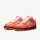 Concepts x SB Dunk Low Orange – Lobster Elegante